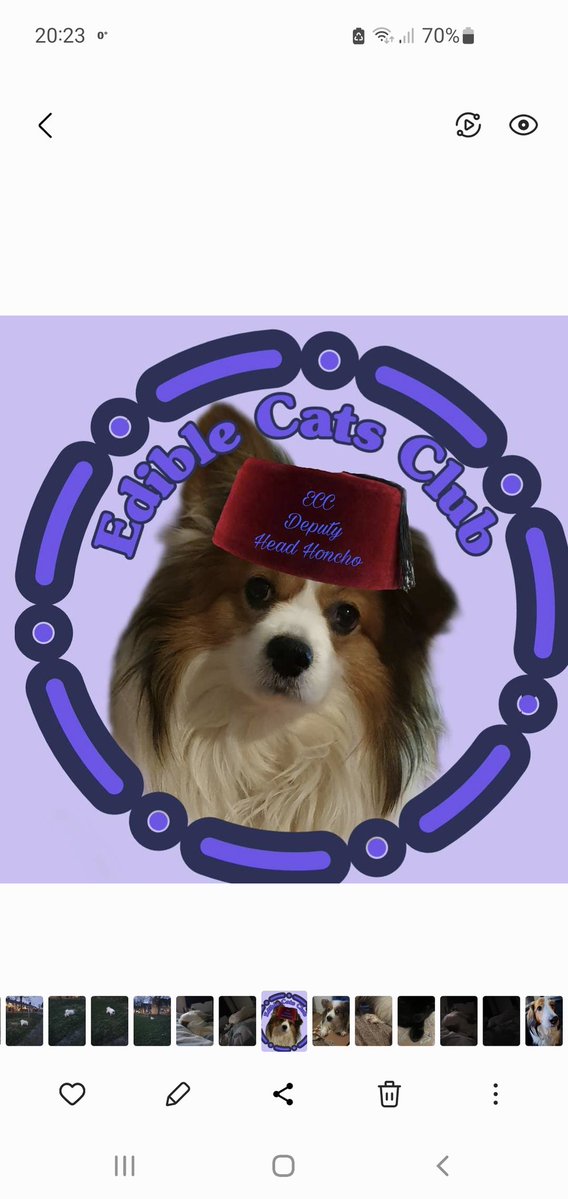 *comes in quietly &amp; sits.....hoping Twit will behave*  #ACandleForSilver