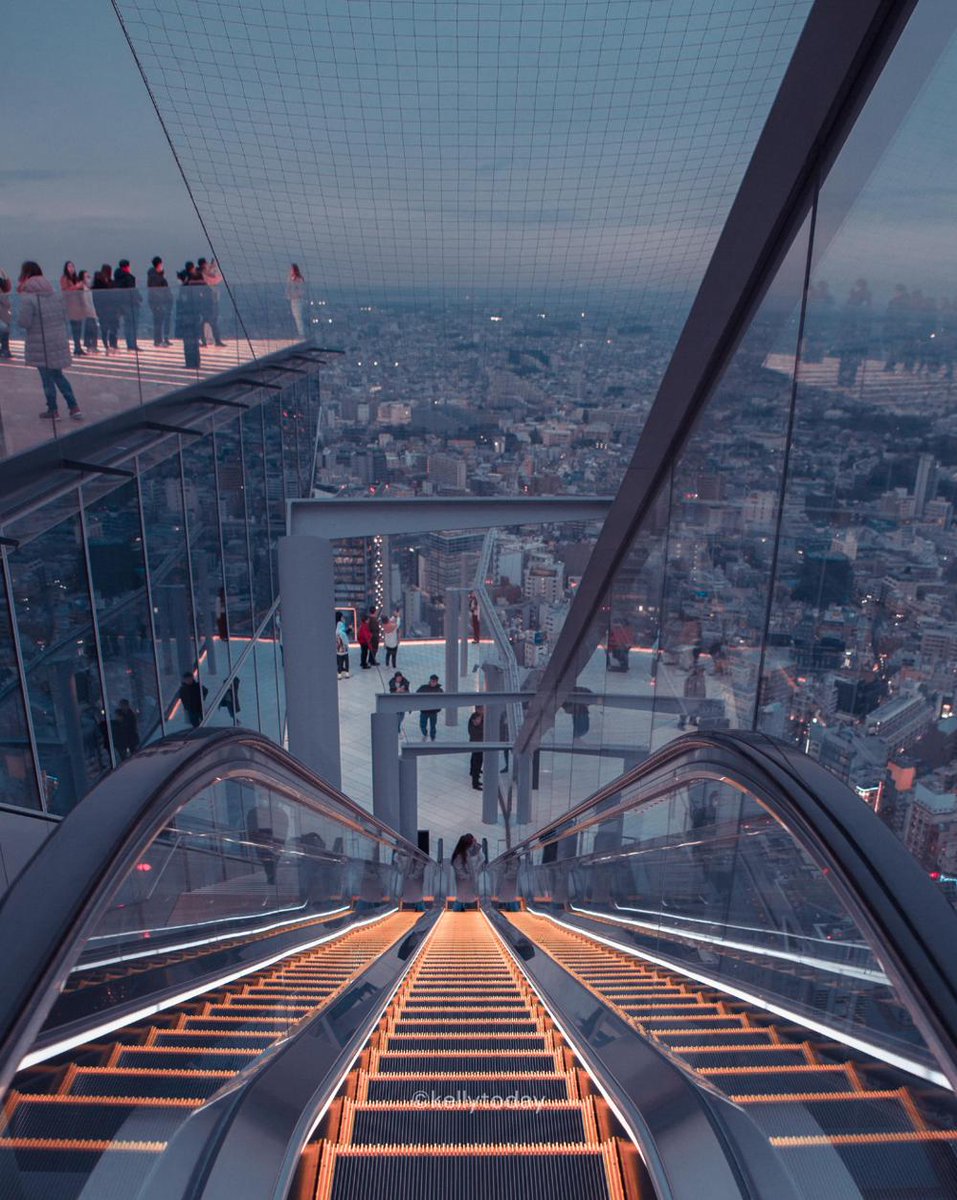 楽しんでね！ 胸張って！