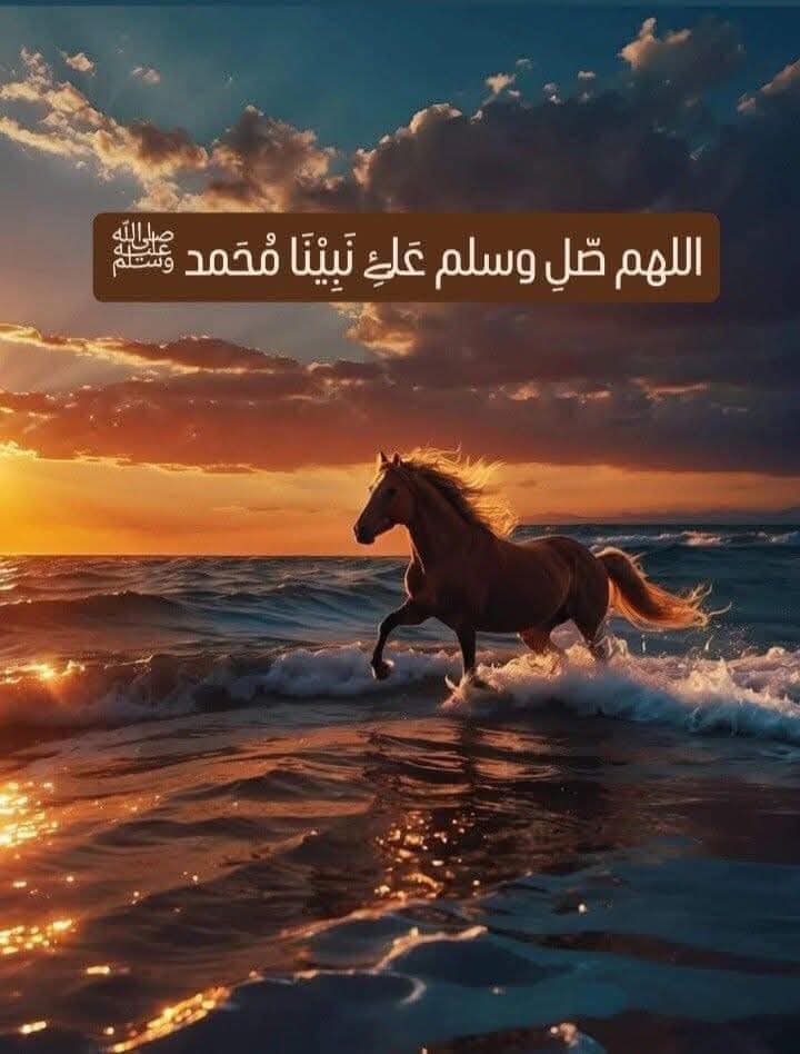🦅3tef tweet media