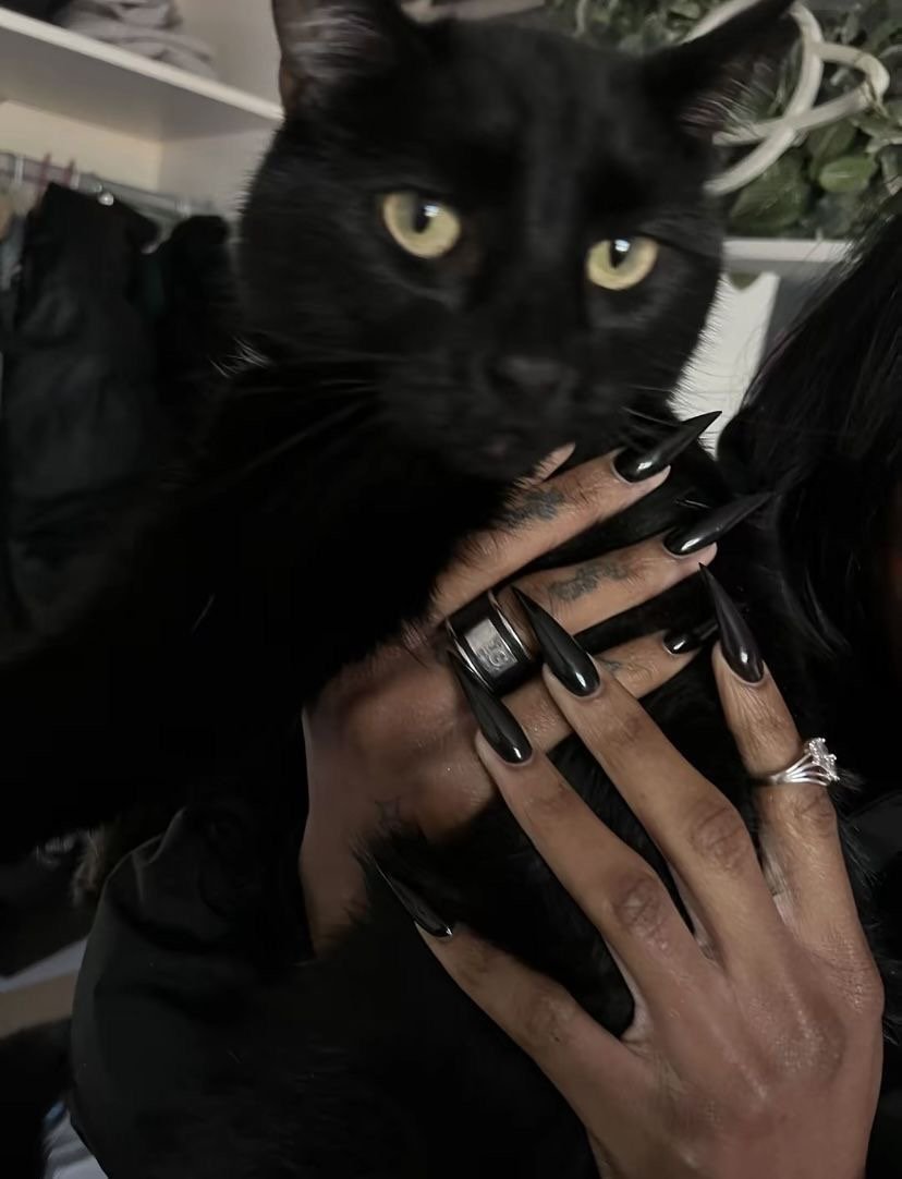 the culture | magazine (@galactamelanin) on Twitter photo 