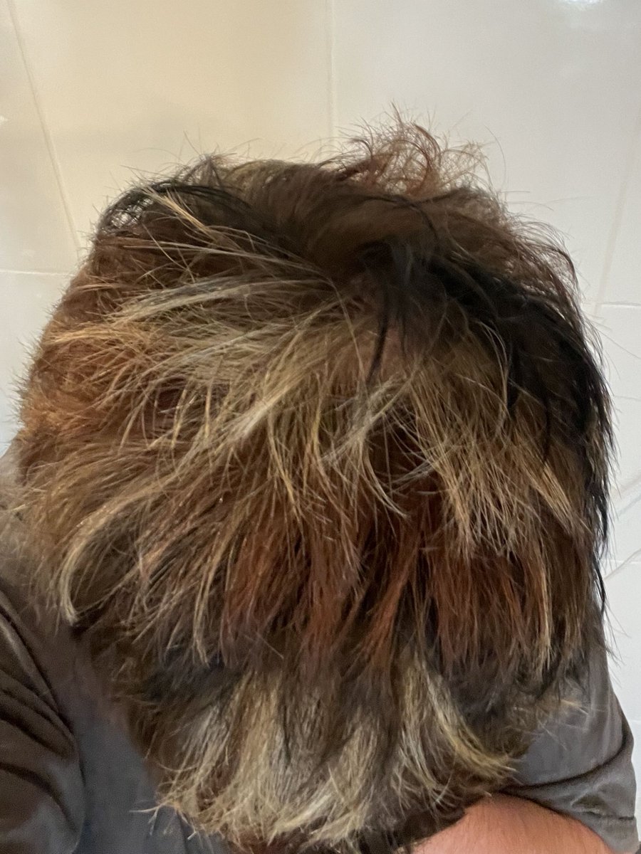 Mon coiffeur cette crème qui a accepté de tenter un effet calico qui rend trop bien et je suis trop heureux 🥺 

Feat le pov du dessus de mon gros crane je sais cadrer okay