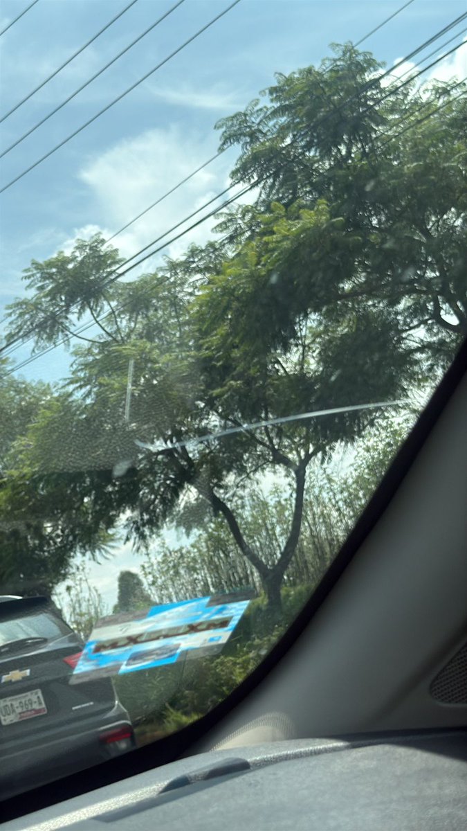hdezkrla's tweet photo. ⚠️ ATENCIÓN ⚠️

Hace 20 minutos, mientras circulábamos sobre el periférico, a la altura de SAMS de periplaza, desde el puente peatonal lanzaron piedras directo a nuestro vehículo.

El impacto rompió el parabrisas y puso en riesgo nuestra vida. 🚨

@SSC_Pue  @Gob_Puebla @SSPGobPue https://t.co/Y5G7hZF12V