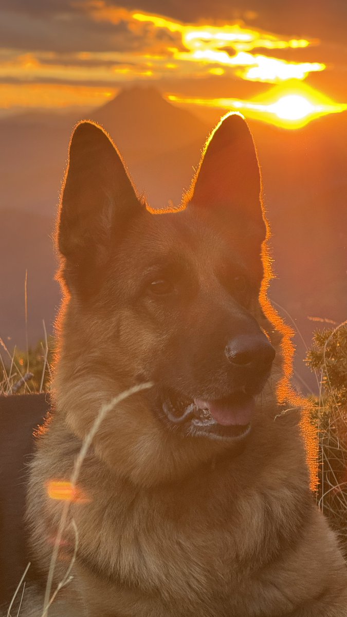 bluefieeld's tweet photo. Atardecer en Baciero🧡 https://t.co/qAe0TBD6RT