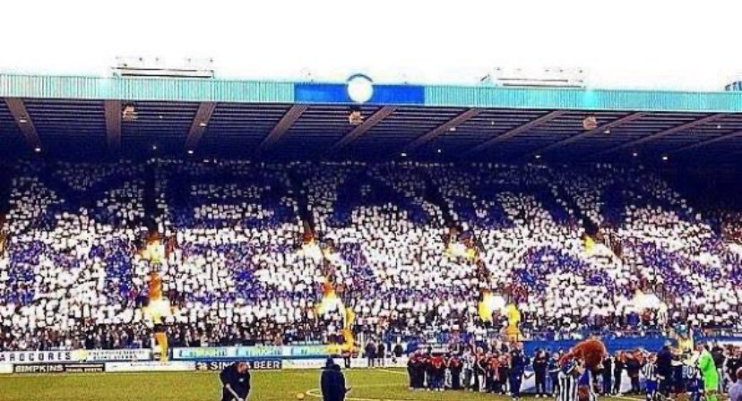 tcswfc's tweet photo. @swfc RIP Milan💙 https://t.co/yVnERm0MTk