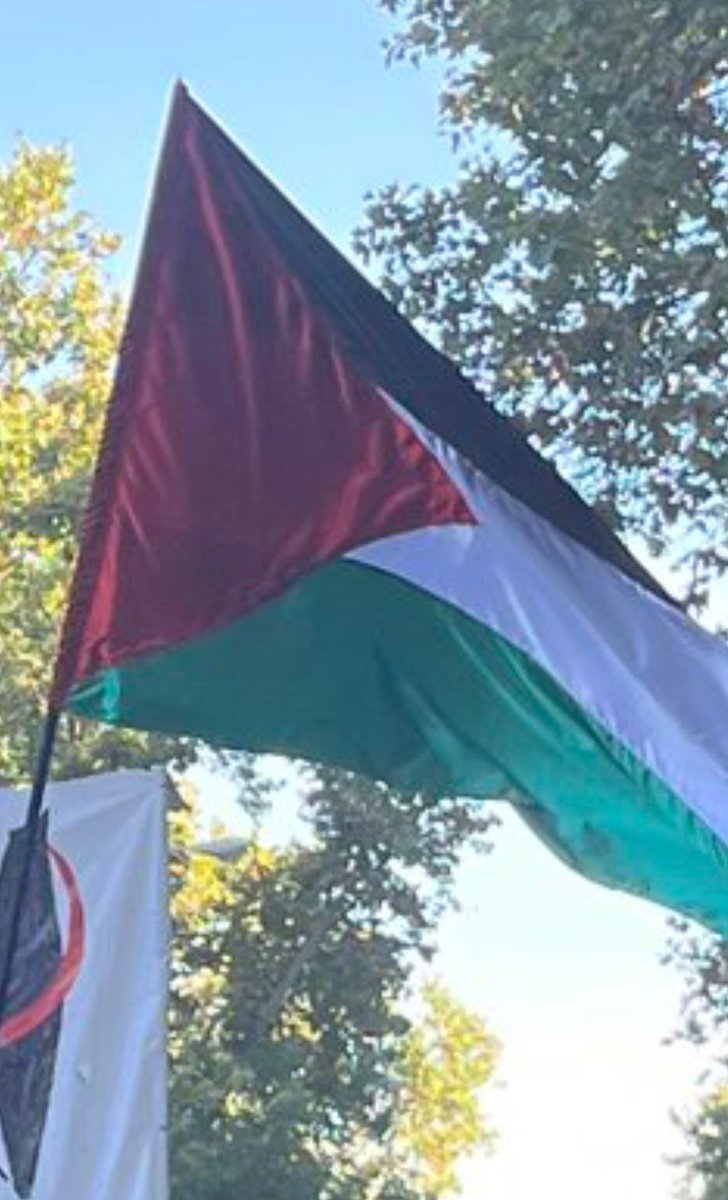 Exigimos la liberación de las secuestradas de la #GlobalSumudFlotilla el embargo de armas,ruptura de relaciones y corredor humanitario.
#freepalesti̇ne