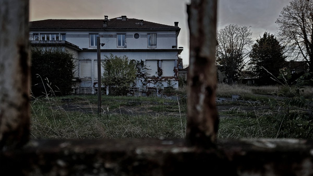 FireFly Deluxe Version 💕 tweet media