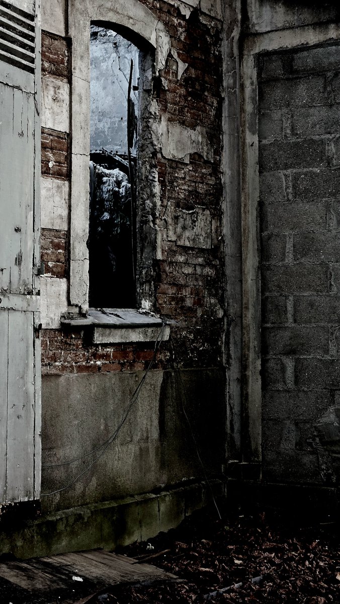 FireFly Deluxe Version 💕 tweet media