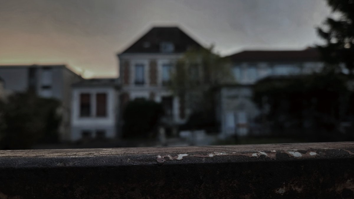 FireFly Deluxe Version 💕 tweet media