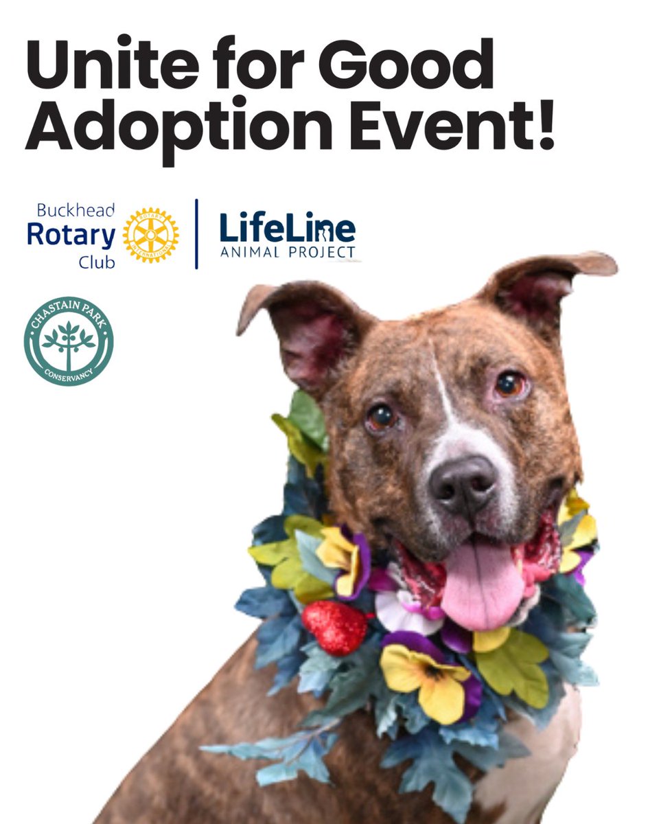 🐾 Tomorrow! Pet Adoption Event w/<a href="/lifelineanimal/">LifeLine Animal Project</a>
📅 Sun, Oct 5 • ⏰ 1:00 PM
📍 Chastain Farm, 4001 Powers Ferry Rd NW, Atlanta

Come meet adoptable pets &amp; help them find forever homes! Bring the family, tell a friend, &amp; register from the Member website so we know you’re coming.