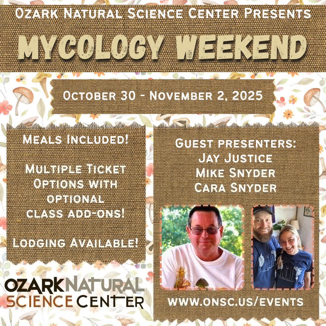 ozarknatsci's tweet image. 🍄 4 weeks until we head into the woods for Mycology Weekend 2025 at ONSC! 🍄

Whether you&apos;re a seasoned mycophile or just fungus-curious, this immersive retreat offers everyth... onsc.us/events-1/2025-… 
#ONSC #MycologyWeekend #FungiFriday #ExploreNature #MushroomRetreat