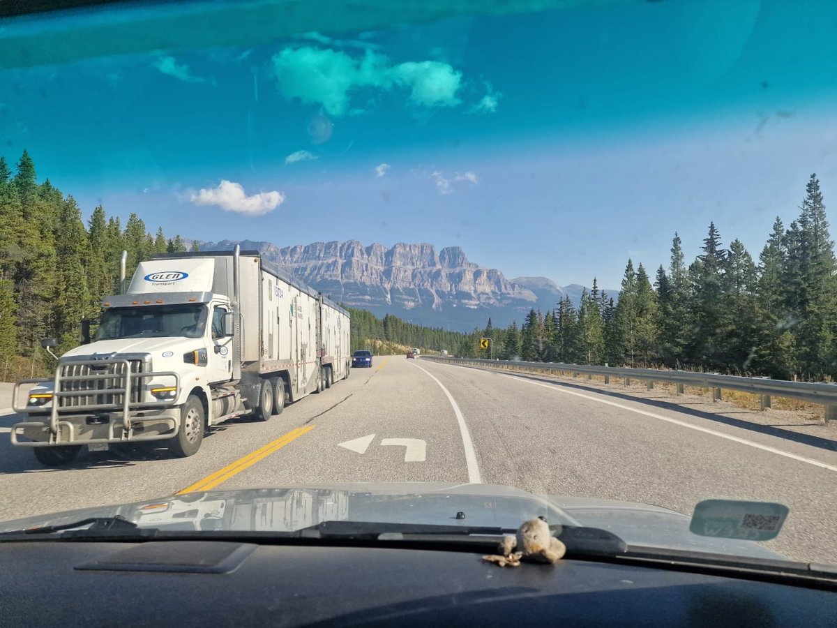 VikingInTheWild's tweet image. My dad taking photos in #Banff national park 🚛🤦🏻‍♀️