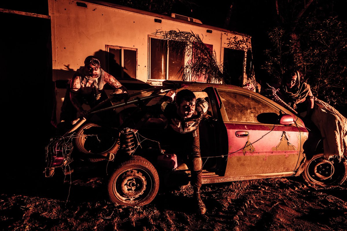 A Petrified Forest tweet media