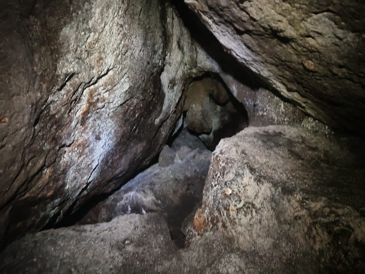 Carlos Lasso tweet media