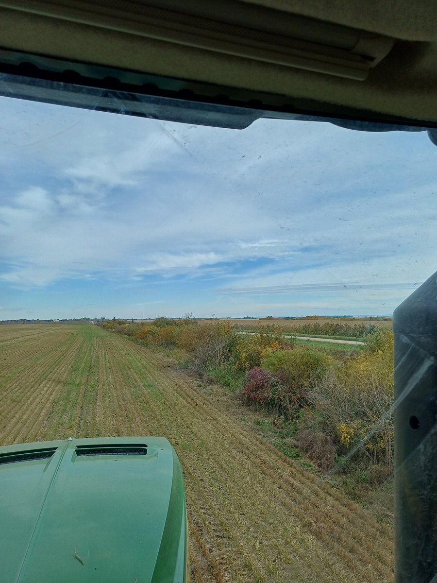 Andrew Melnychenko tweet media