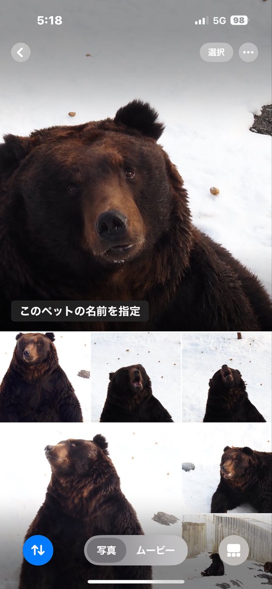 ペット認定されてる笑