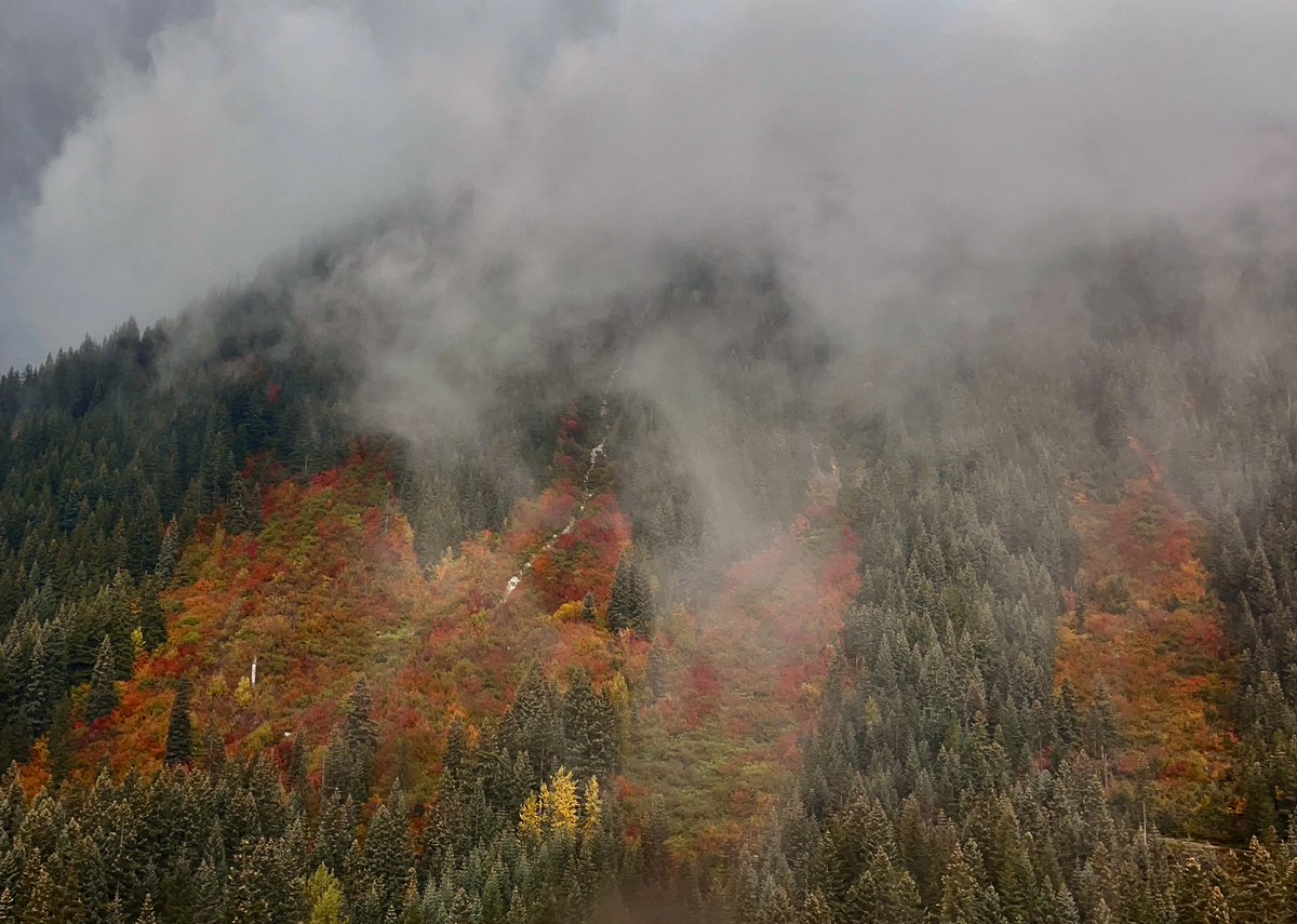 Mark Skaggs tweet media