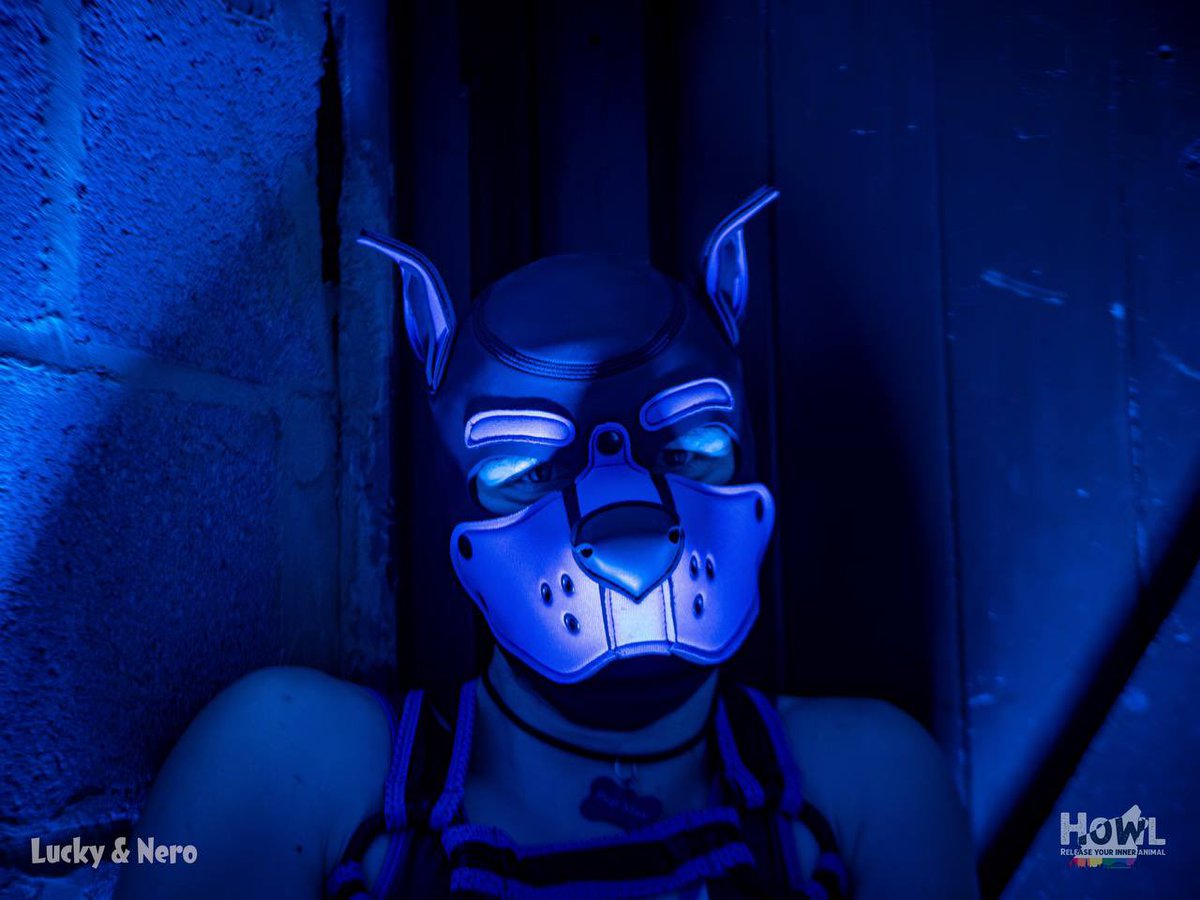 PupExtortion🔜 Howl Newcastle 2.0 tweet media