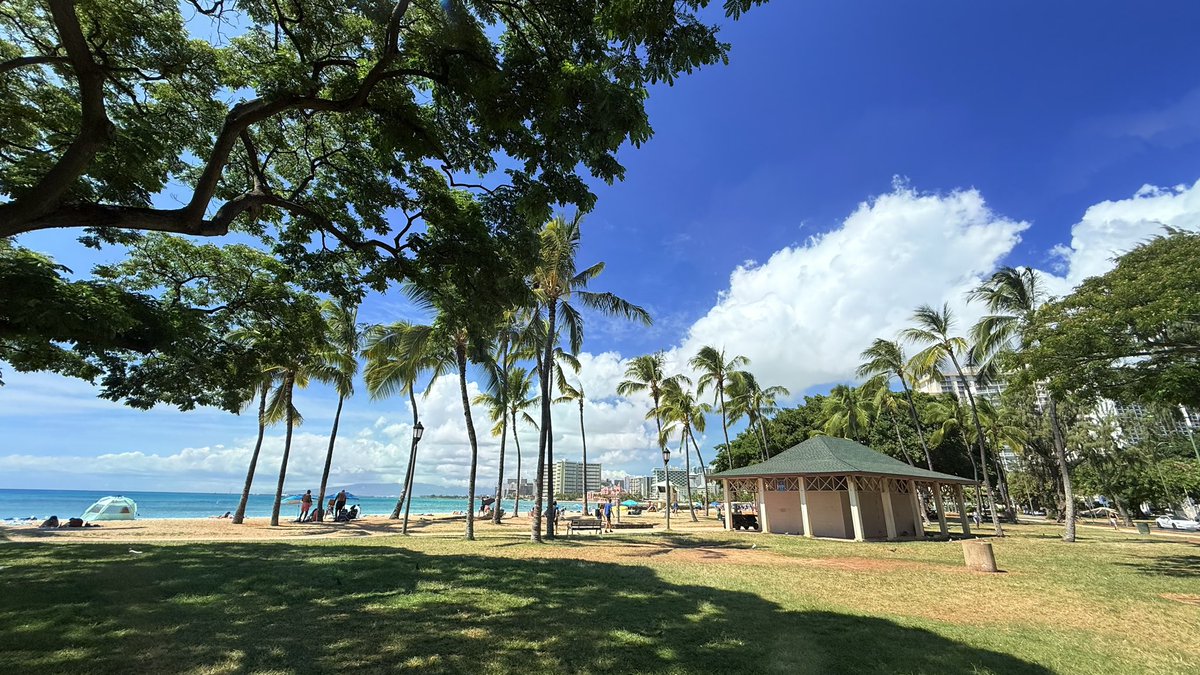 hawaii isla 808 tweet media