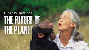 Breda Gahan tweet media