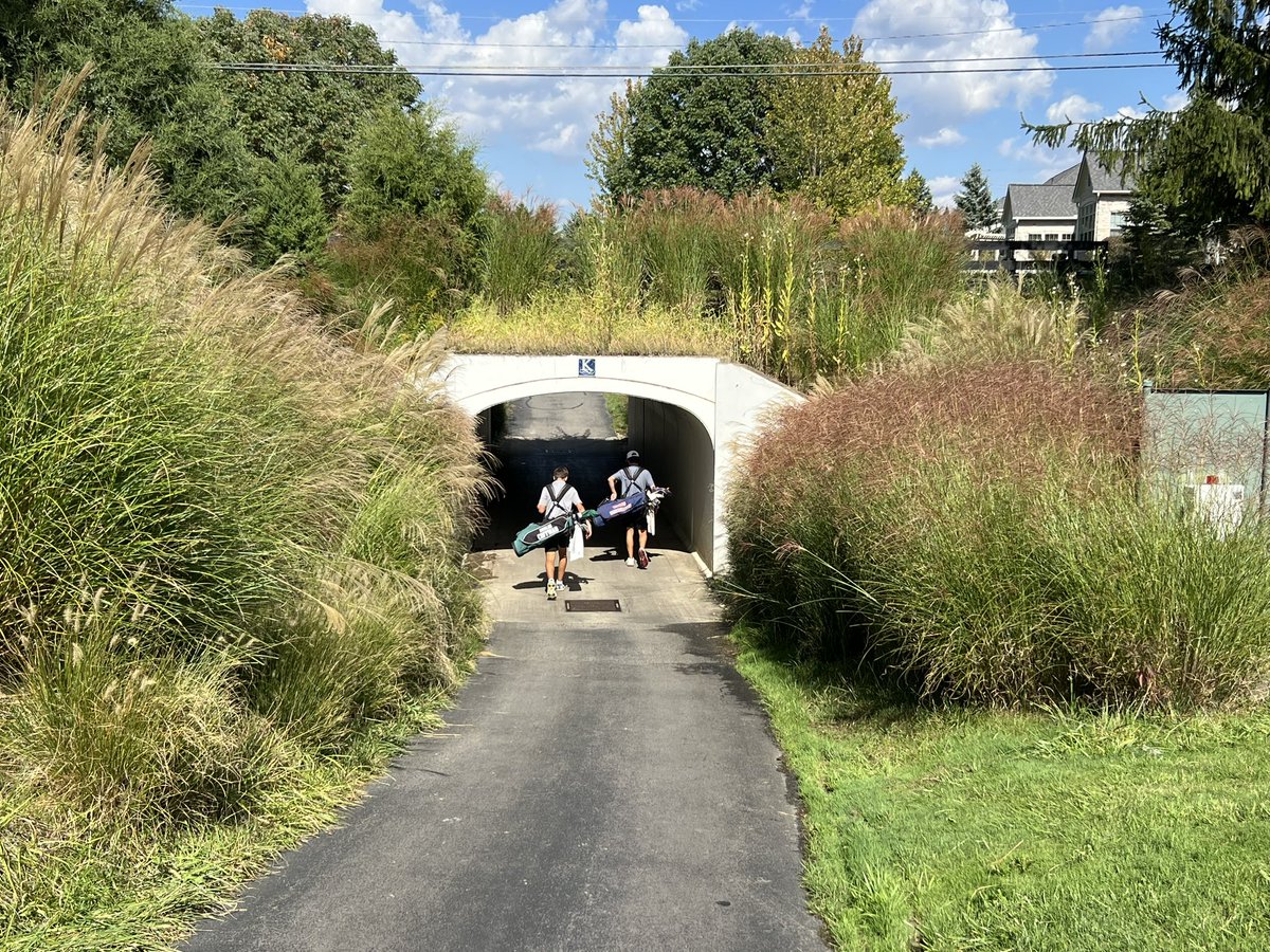 Coffman Boys Golf tweet media