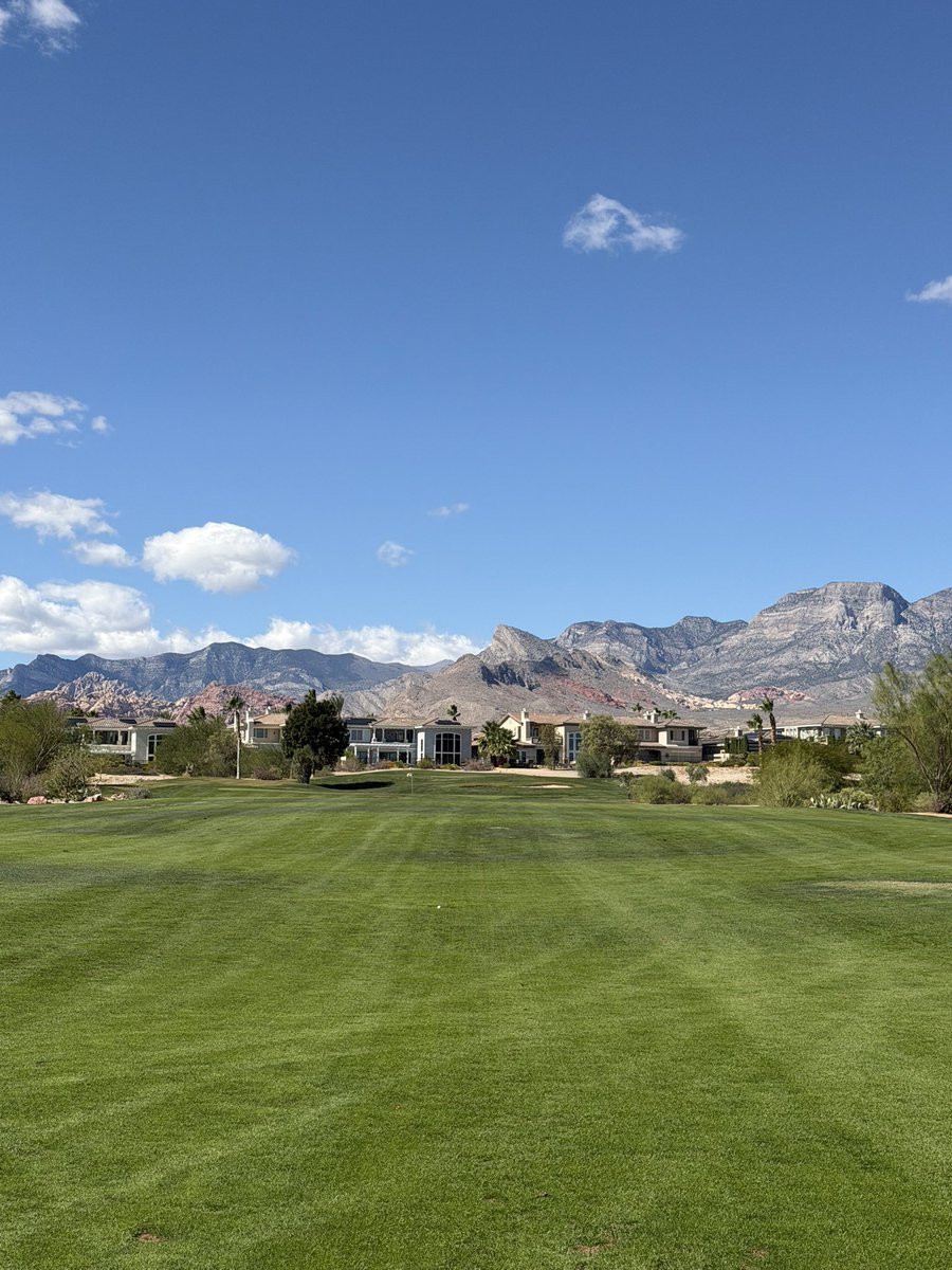 david blomquist tweet media