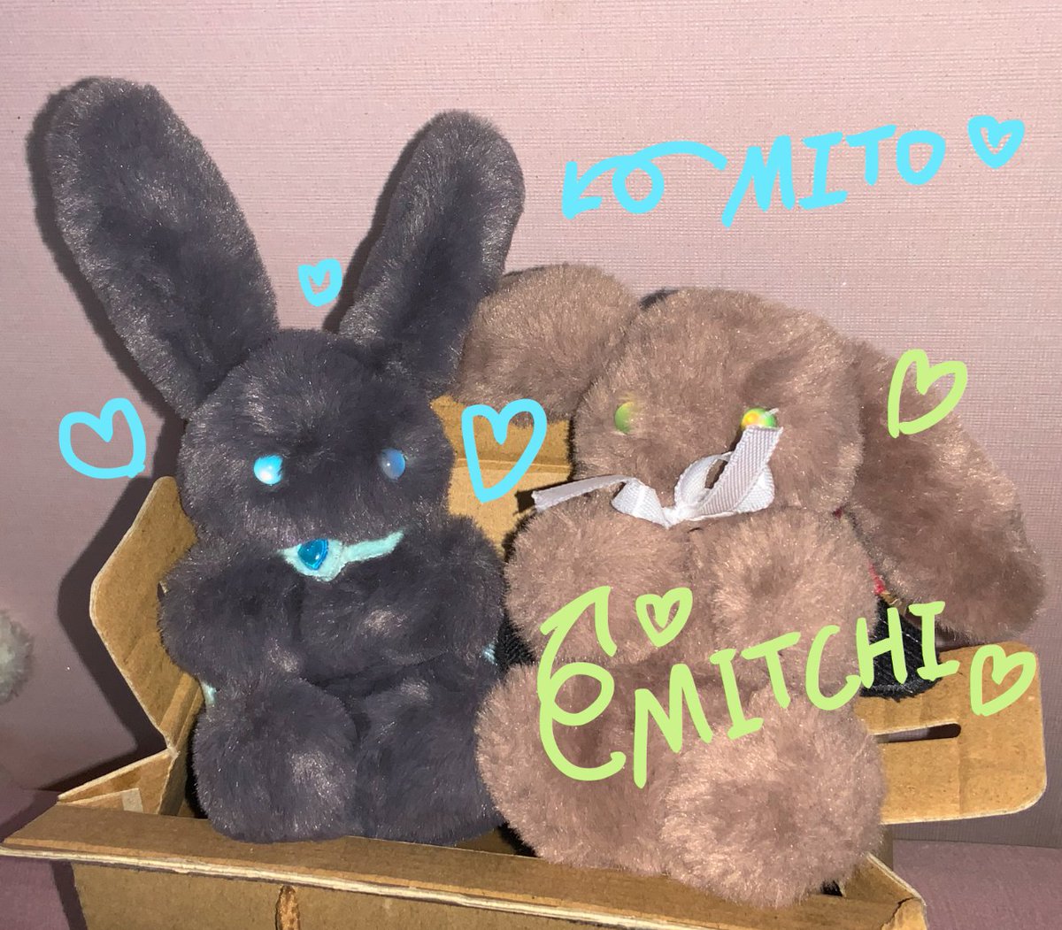 이집 털뭉치 정말 귀여버요🩵🩷🩵🩷