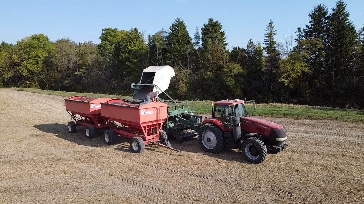 Dark Red Kidneys 2025 is a wrap. On to the next project 🇨🇦