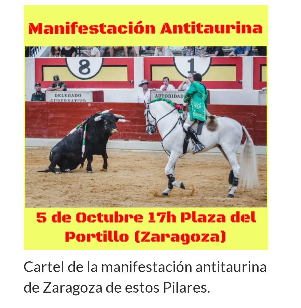 ropavieja94's tweet photo. Manifestación antitaurina en Zaragoza. 5 octubre, 17h, plaza del Portillo.
#TauromaquiaNo
#TorosNO
#fiestasdelpilar https://t.co/uzcZoX7lRw