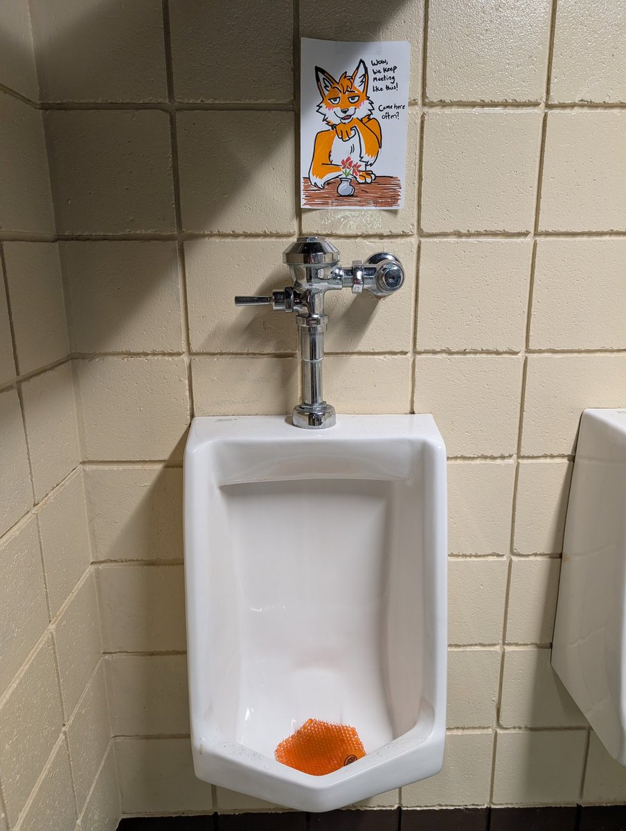 Maes 🦇 tweet media