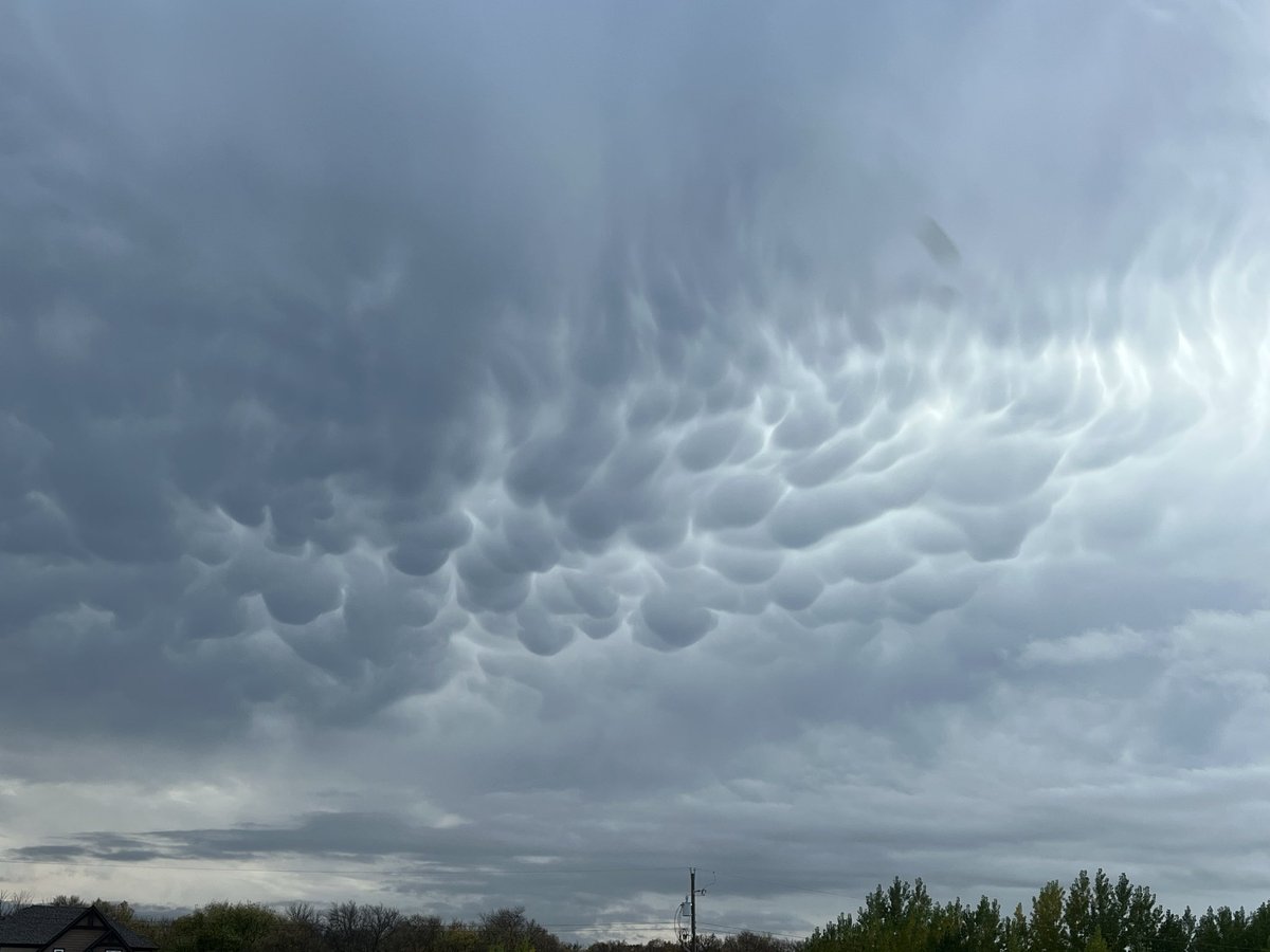 Scott Kehler 🇨🇦 tweet media