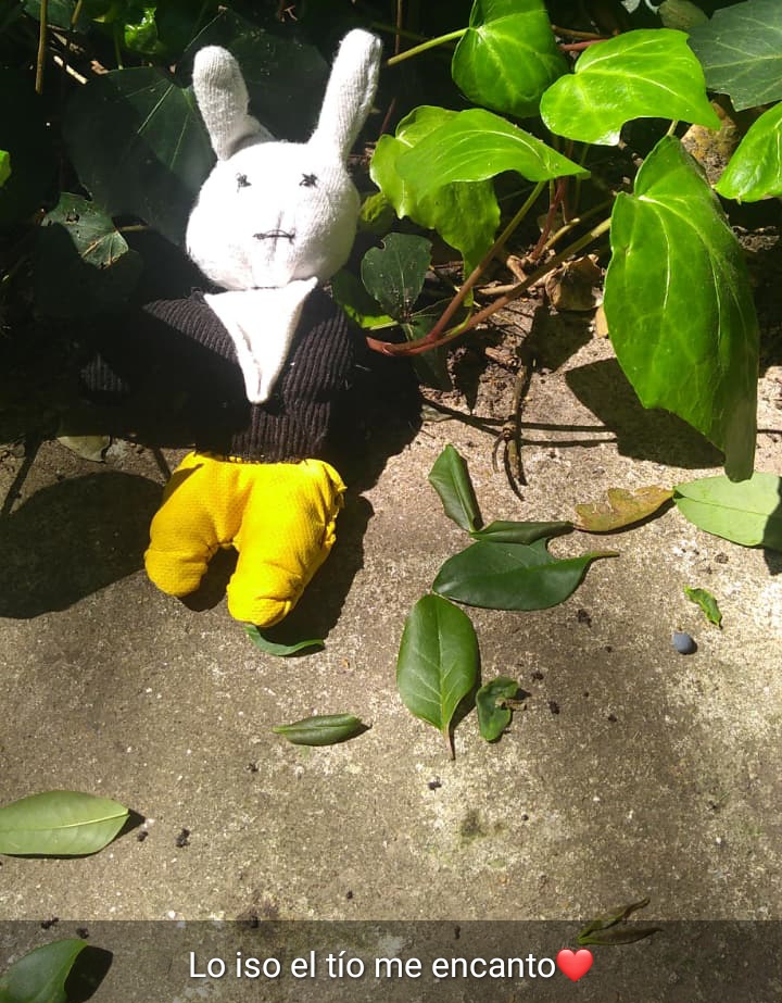 Intenté hacer un conejo pepito de trapo y me quedó de paciente psiquiátrico pero mi sobrina subió este estado cuando se lo di y eso es todo lo que importa.....