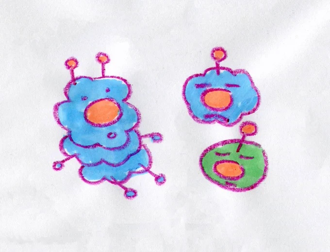 grown bug and baby bugs