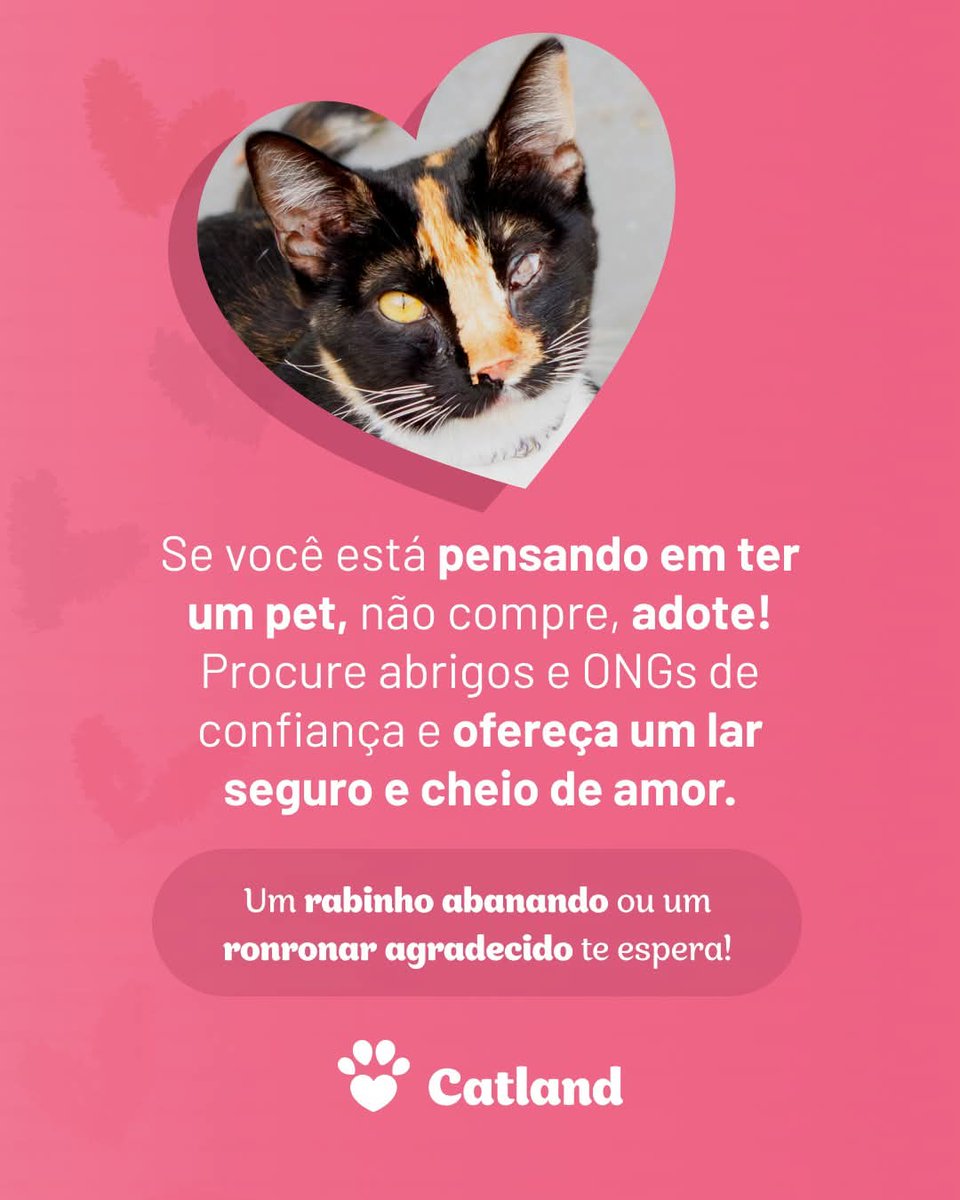 catlandrescue's tweet photo. Conta pra gente aqui e vamos espalhar boas histórias para celebrar a data! 😍
#catland #catlandrescue #adoçaodeanimais #dianacionaldaadoçãodeanimais https://t.co/MAm5JEasWO