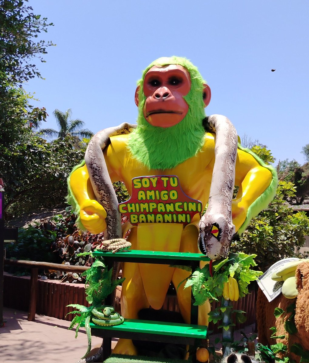 Rony 🐱🖤 tweet media