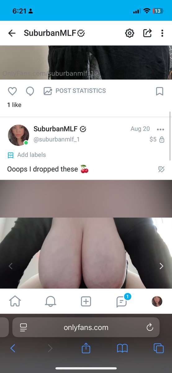 SuburbanSub tweet media