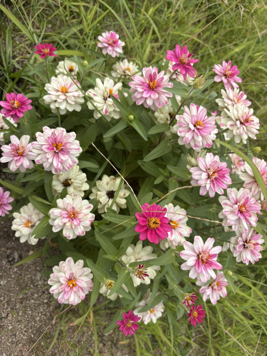 相手のことを思いやり
細かい心配りが出来る人
その優しさを
今は自分に向けて欲しい

たくさん優しさを
注いできたあなたが
温かい優しさに
包まれていますように

#あの子たち
#そっとエール