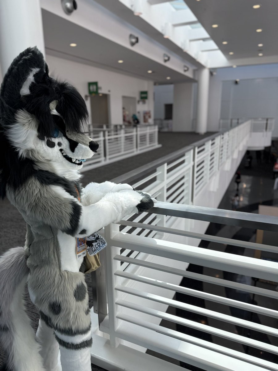 Kiera’s fullsuit was finished for AFC a few weeks ago ❄️🦊🐈

This is my first plantigrade suit, it was much more easier than digitgrade hahah \(//∇//)\

—————————————————————

•feetpaw pattern  from spiltgrapesoda
•handpaw pattern from RunnerRabbit