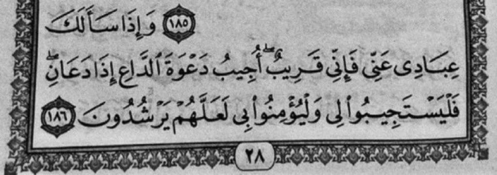 «وإنْ ضاقت بك الأركانُ يومًا فَرُكن اللهِ رحبٌ لا يضيقُ»
— الوتر