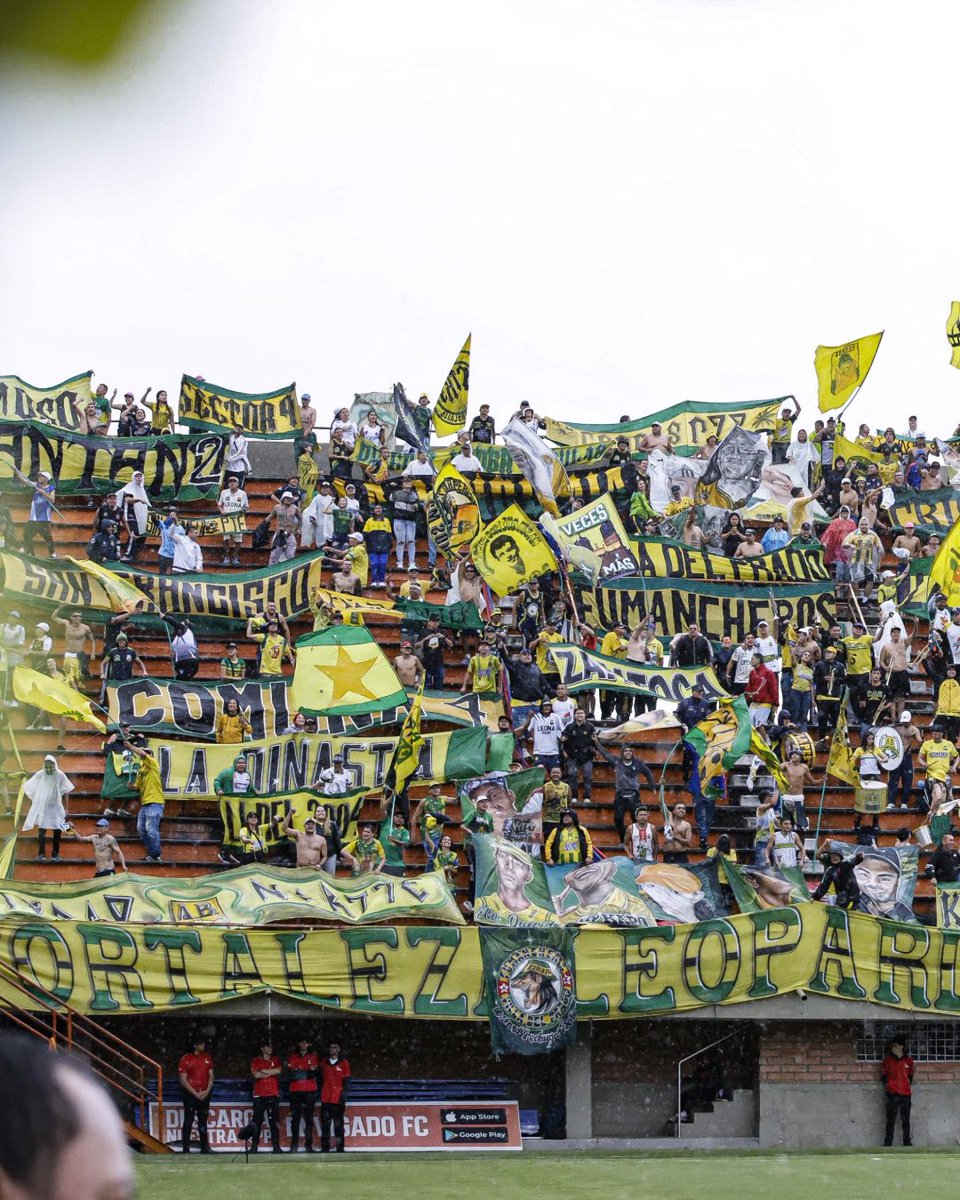 LigaBetPlayD's tweet image. La hinchada del leopardo se sintió en el Polideportivo Sur. 🔰

#UnaLigaConMásPasión #LigaBetPlayDimayor #fpc #futbolcolombiano