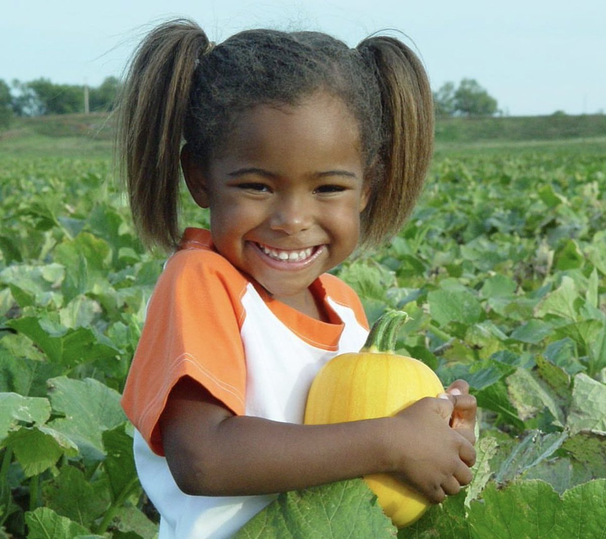 We have been visiting the Grider Pumpkin Patch in Perkins, OK since our youngest was the age in the picture, she is now 23. 

We went again today and it was the best crop of pumpkins I have seen there. Acres and acres of pumpkins of all shapes, sizes and colors. 

The family that