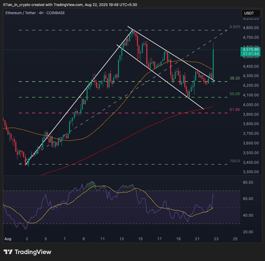 RED CRYPTO ANALYST tweet media