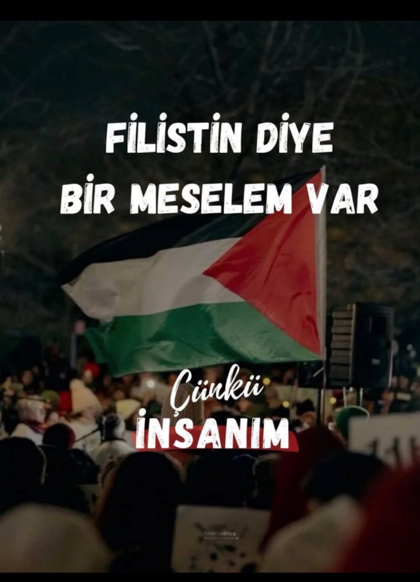 serapErkut's tweet photo. #ÖzgürlükFilosu #FreeGaza #FreePalaestine https://t.co/MWOzZjbdUG