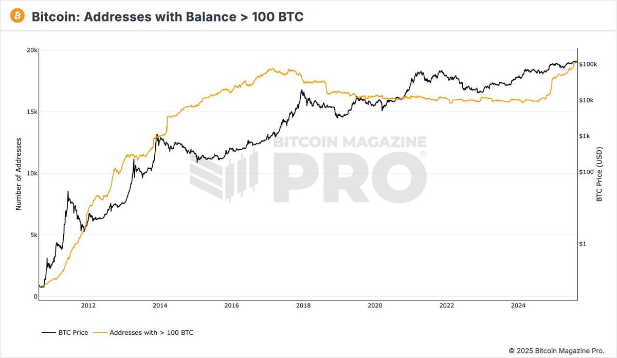 RED CRYPTO ANALYST tweet media