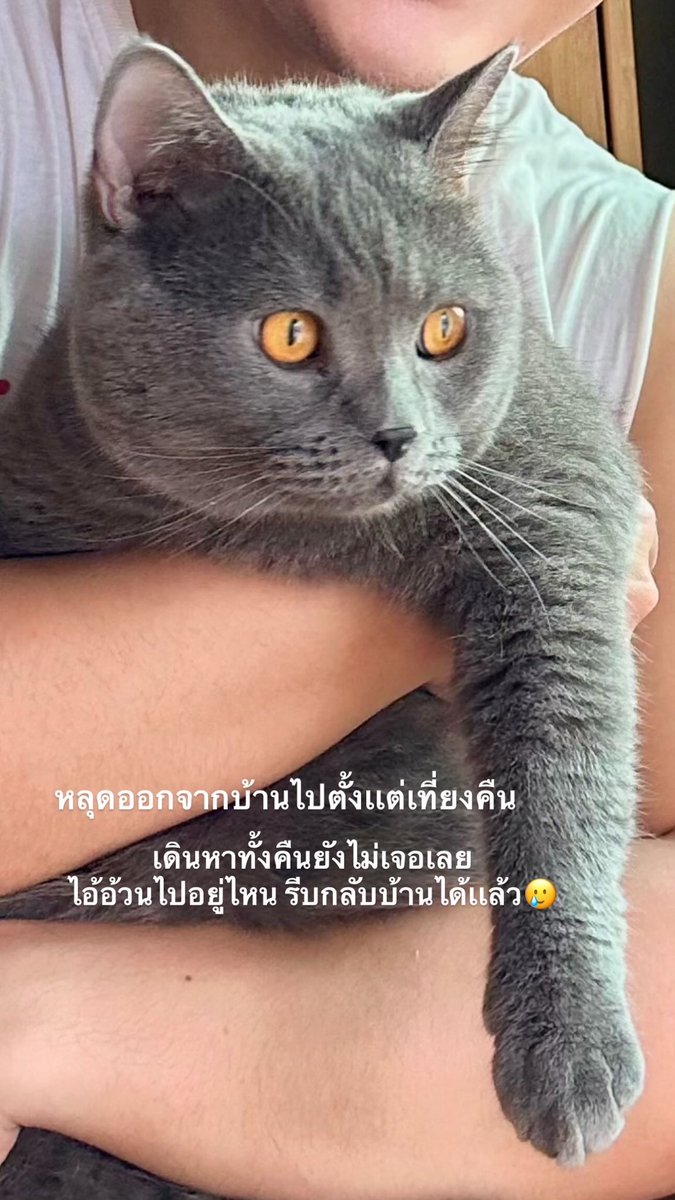 กลับมาบ้านได้เเล้ววว 🥲