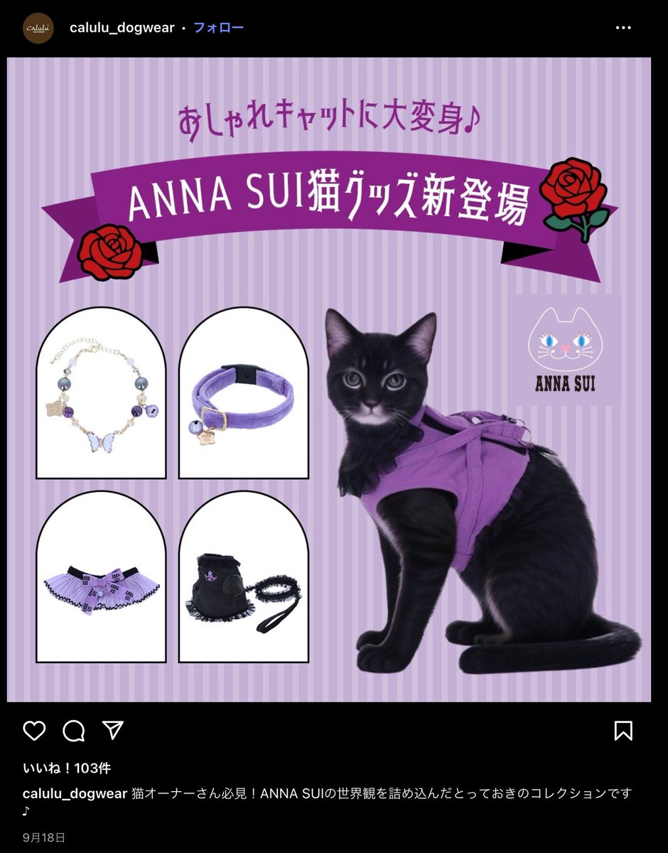 黒猫はじめました。 on X: 