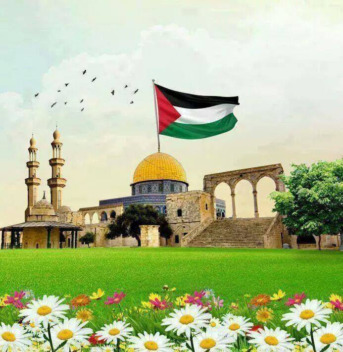 perihan55899's tweet photo. Bir gün mutlaka...🇵🇸✌️

#FreeGaza https://t.co/XEYbGqXWzS