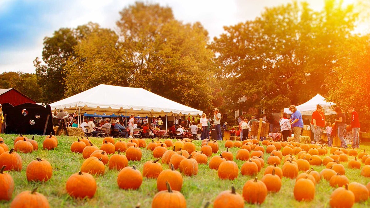 Budget Travel tweet media