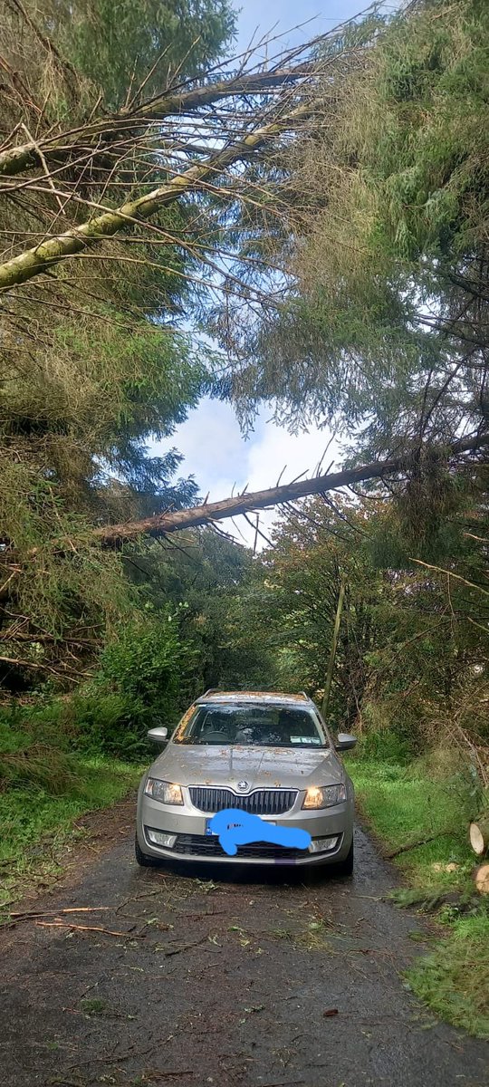 This taken today in #Leitrim is why the forestry industry has to change and why <a href="/MHealyRae/">Michael Healy-Rae</a> <a href="/agriculture_ie/">Dept of Agriculture, Food and the Marine</a> <a href="/coilltenews/">Coillte</a> <a href="/_FIIreland/">Forest Industries Ireland</a> have to take action to cut back 🌲 that are impacting on our community infrastructure, services and impacting negatively on our lives.