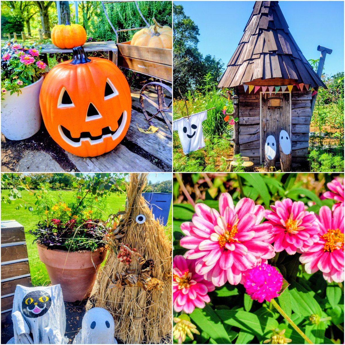 みっち (@3437611michi) / Posts / X