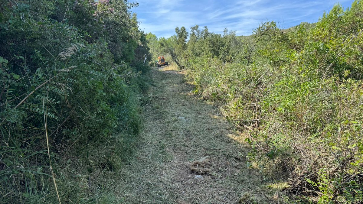 ADF Rossend Montané tweet media